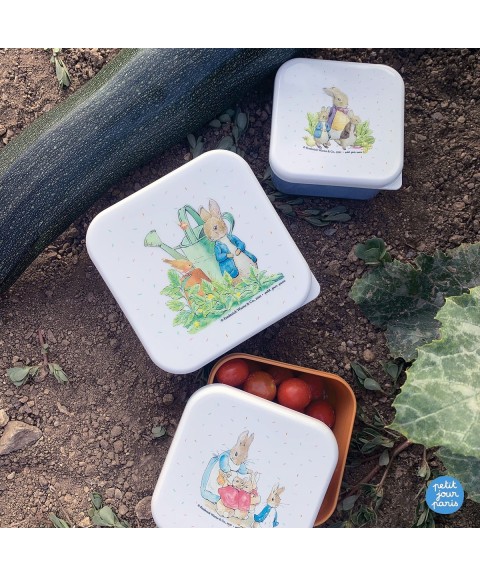 SET OF 3 LUNCH BOXES PETER RABBIT