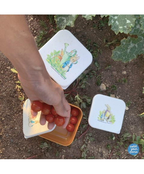 SET OF 3 LUNCH BOXES PETER RABBIT